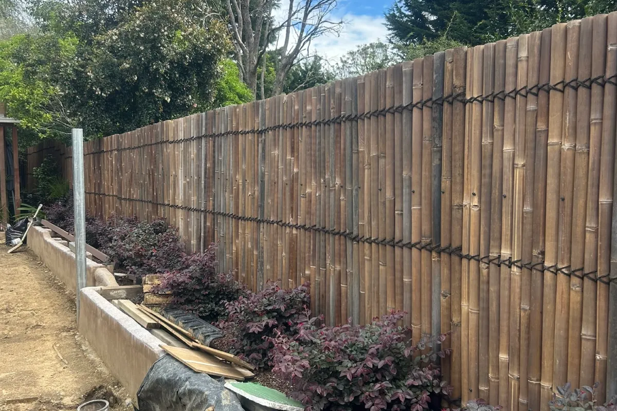Bamboo privacy screen on concrete retaining wall bed